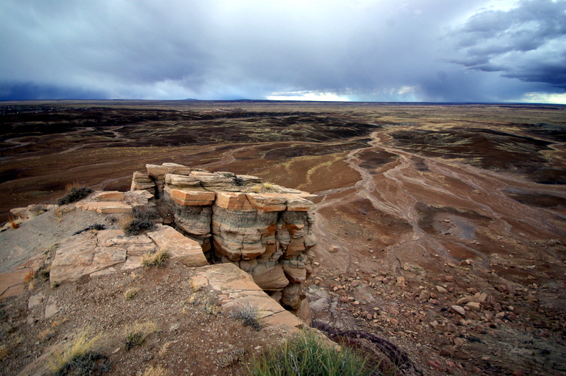 1-IMGP0010.JPG