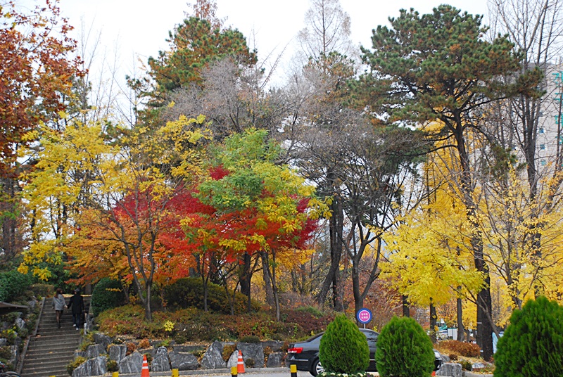DSC_0249.JPG