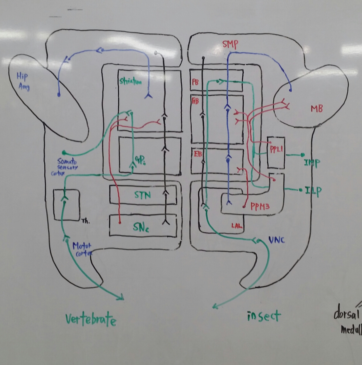특별한뇌과학0920_4[1].jpg