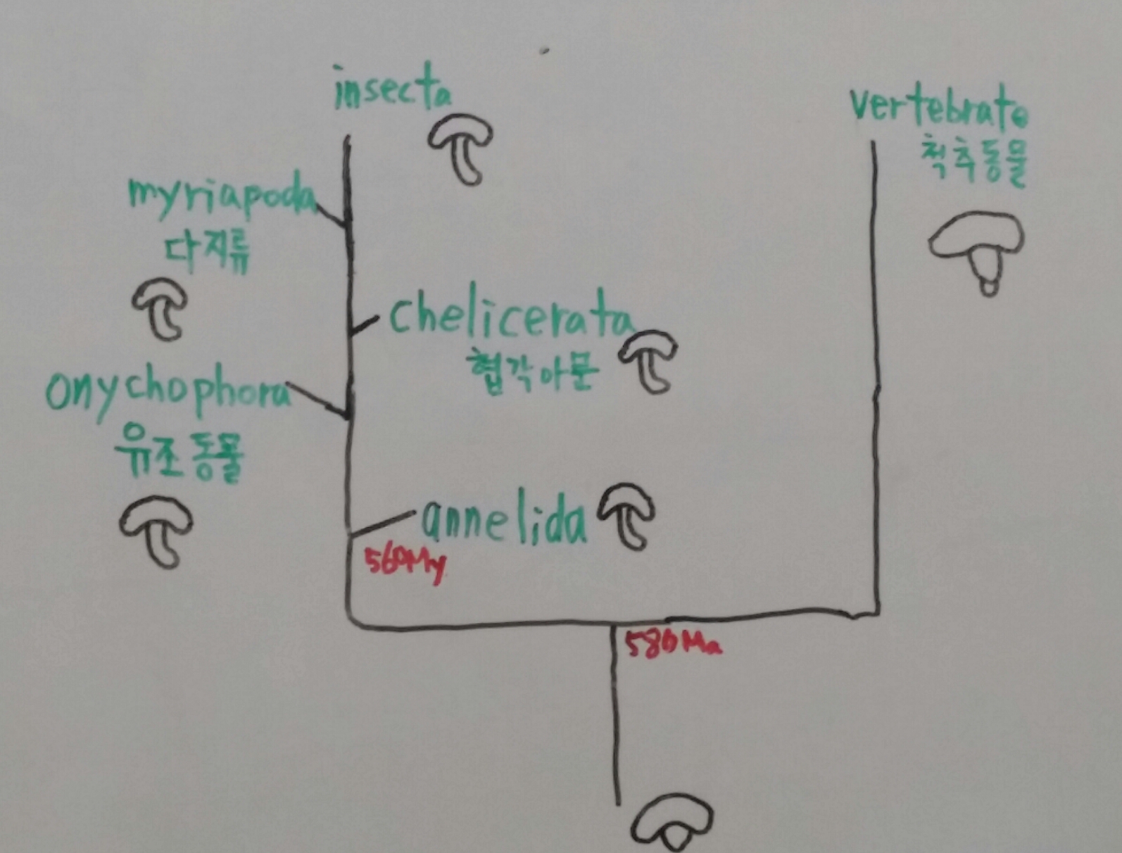 특별한뇌과학0920_3[1].jpg