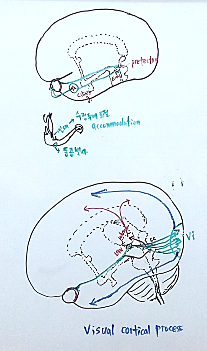 그림2.png