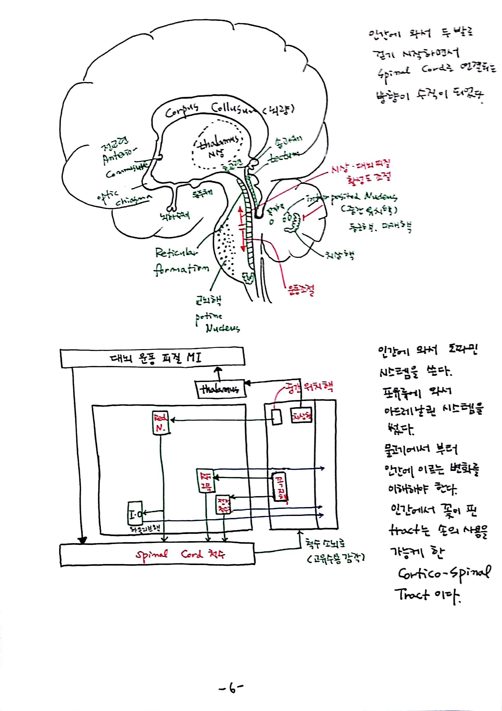 제 6회 특별한 뇌과학 5강 숨쉬고 (6).jpg
