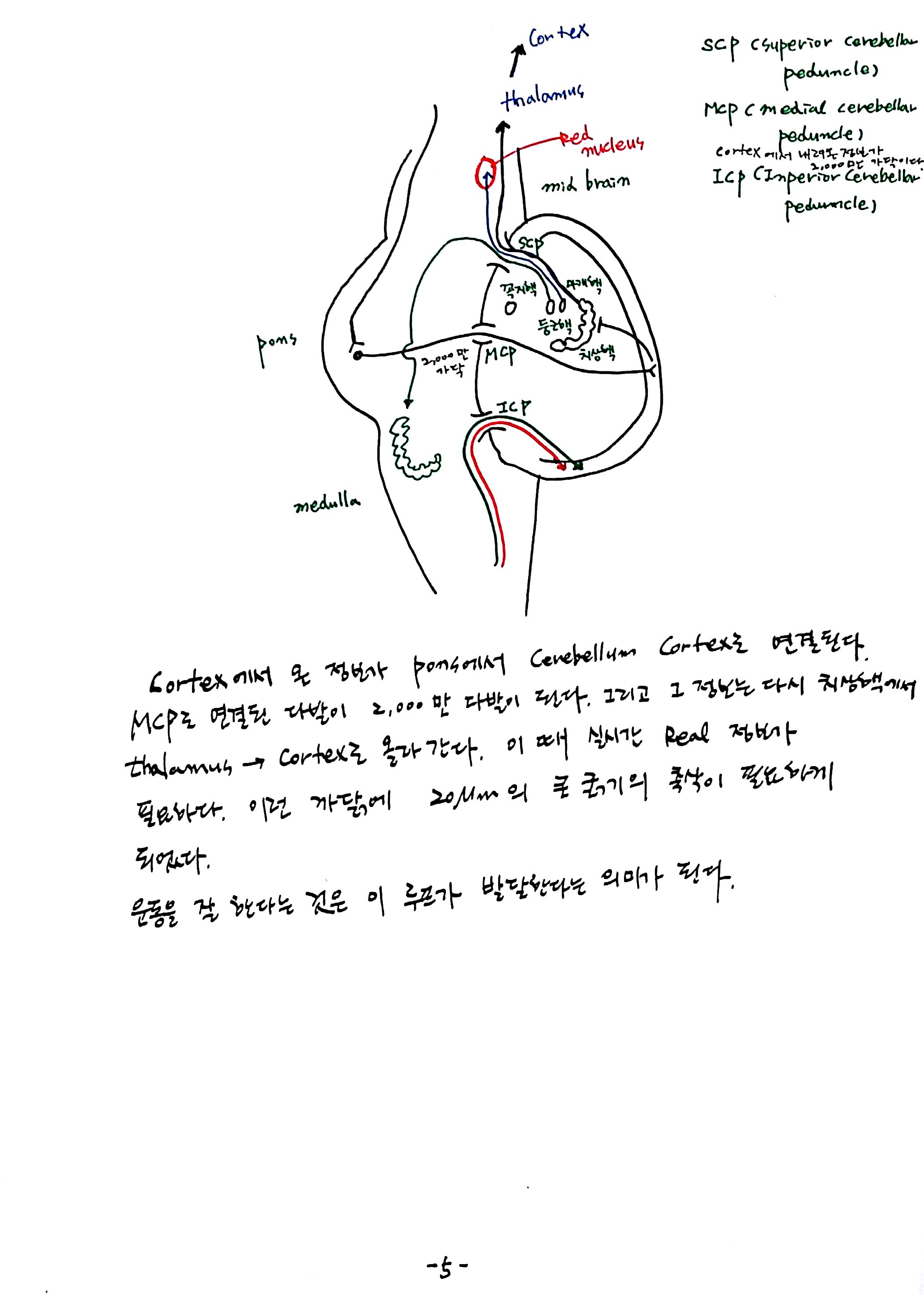 제 6회 특별한 뇌과학 5강 숨쉬고 (5).jpg