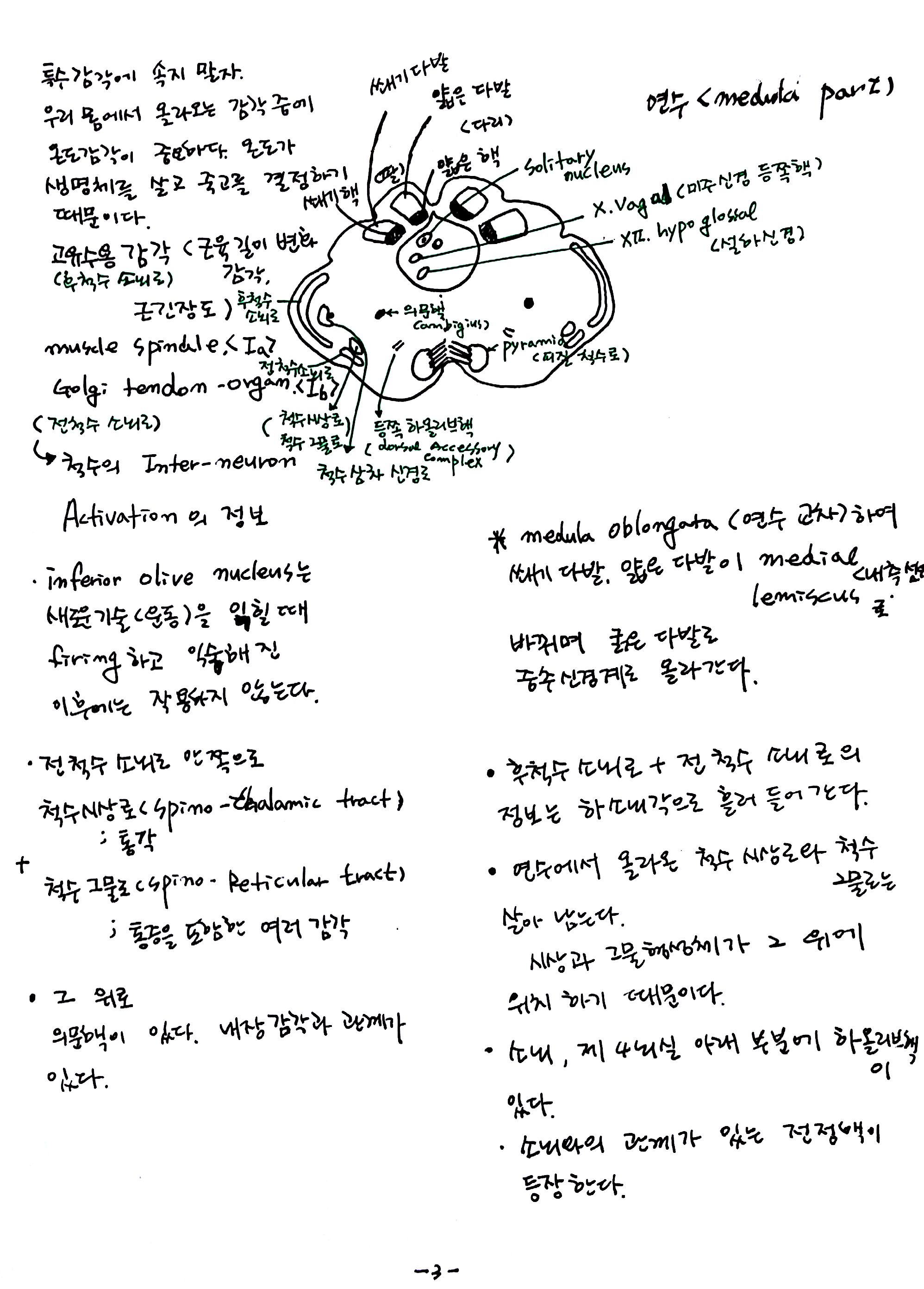 제 6회 특별한 뇌과학 5강 숨쉬고 (3).jpg