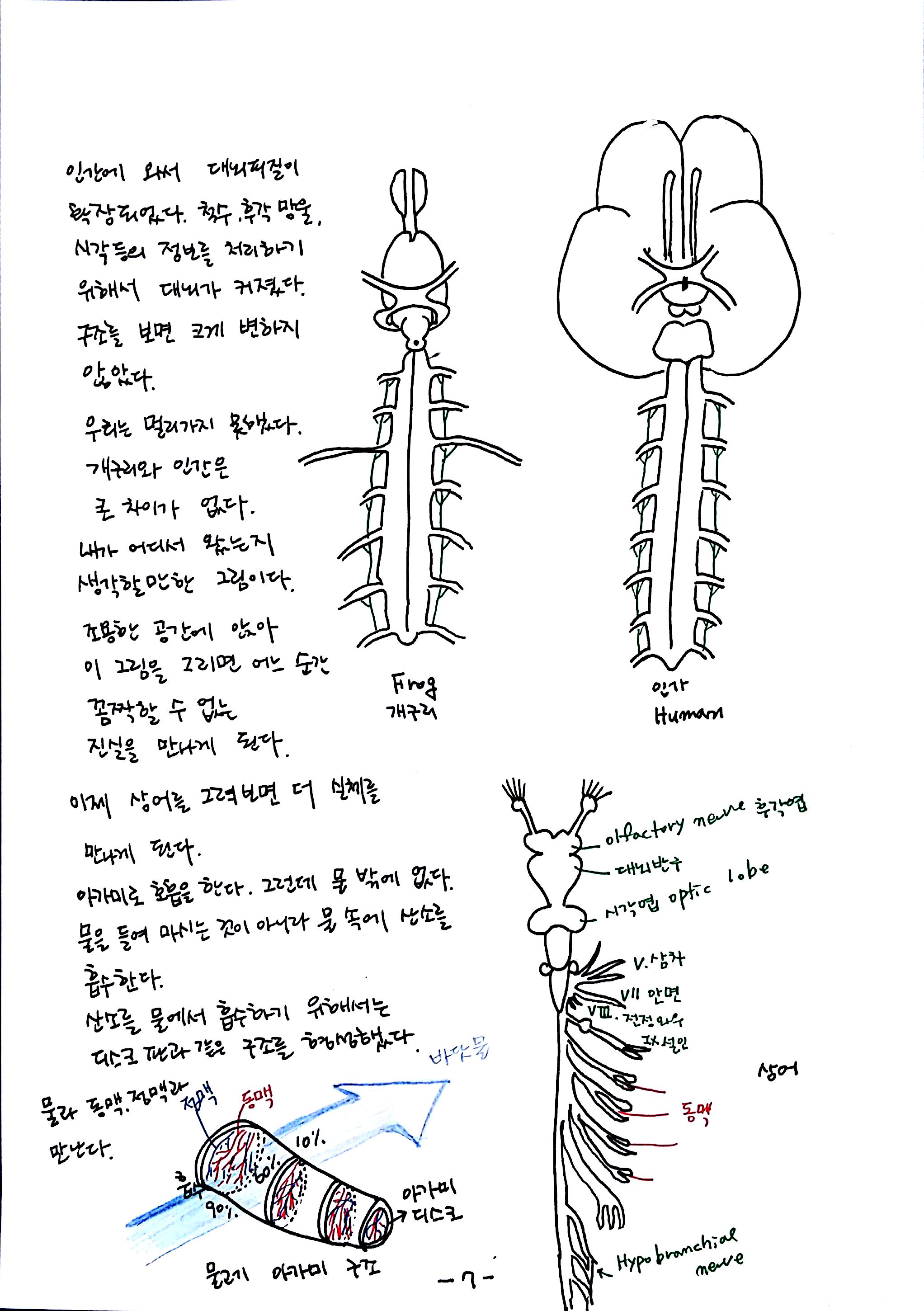 제 6회 특별한 뇌과학 5강 숨쉬고 (7).jpg