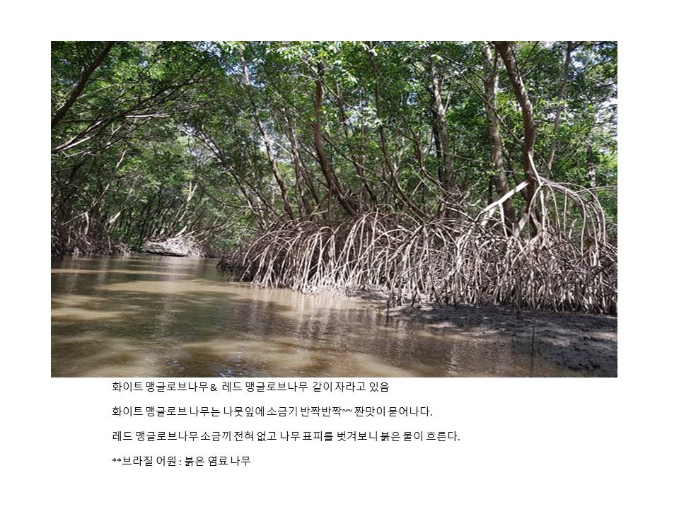 슬라이드25.JPG