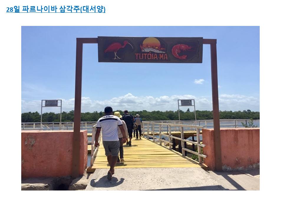 슬라이드26.JPG