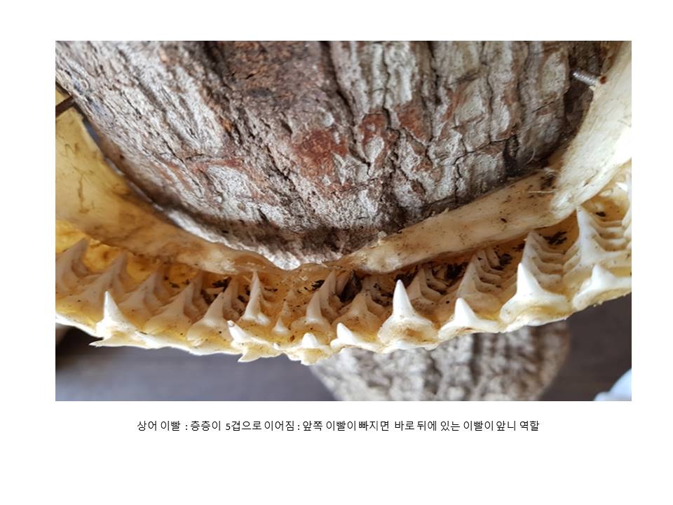슬라이드29.JPG