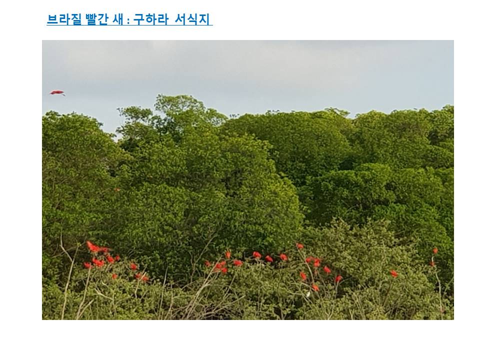 슬라이드33.JPG