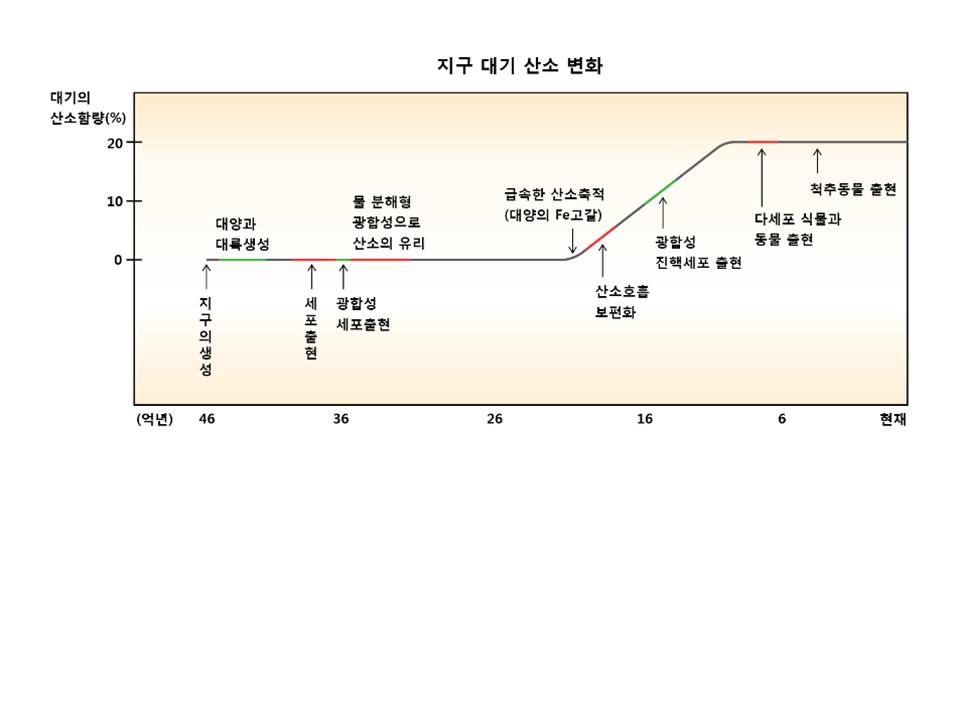 슬라이드4.JPG