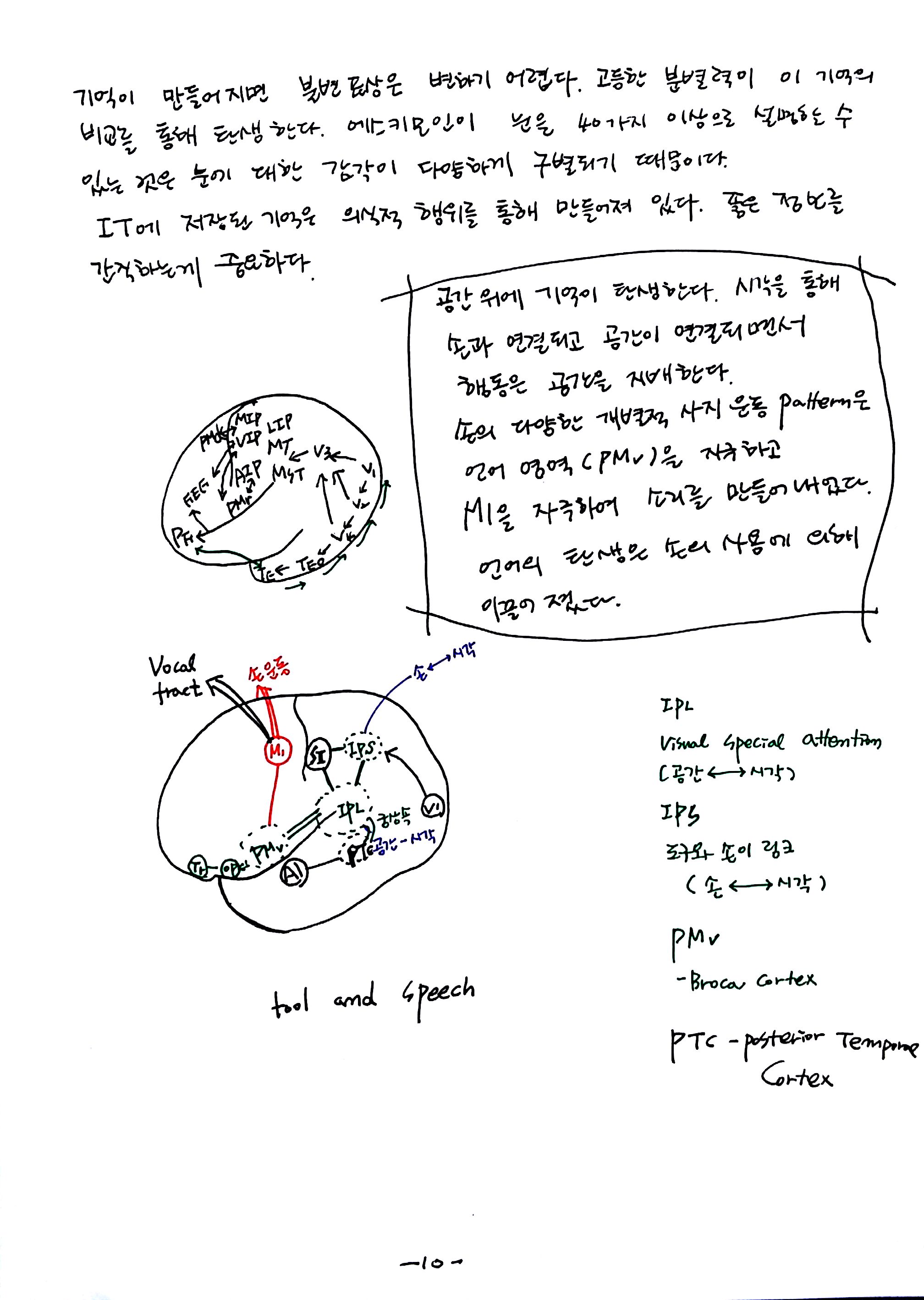 제 6회 특별한 뇌과학 2강 시각2 (10).jpg