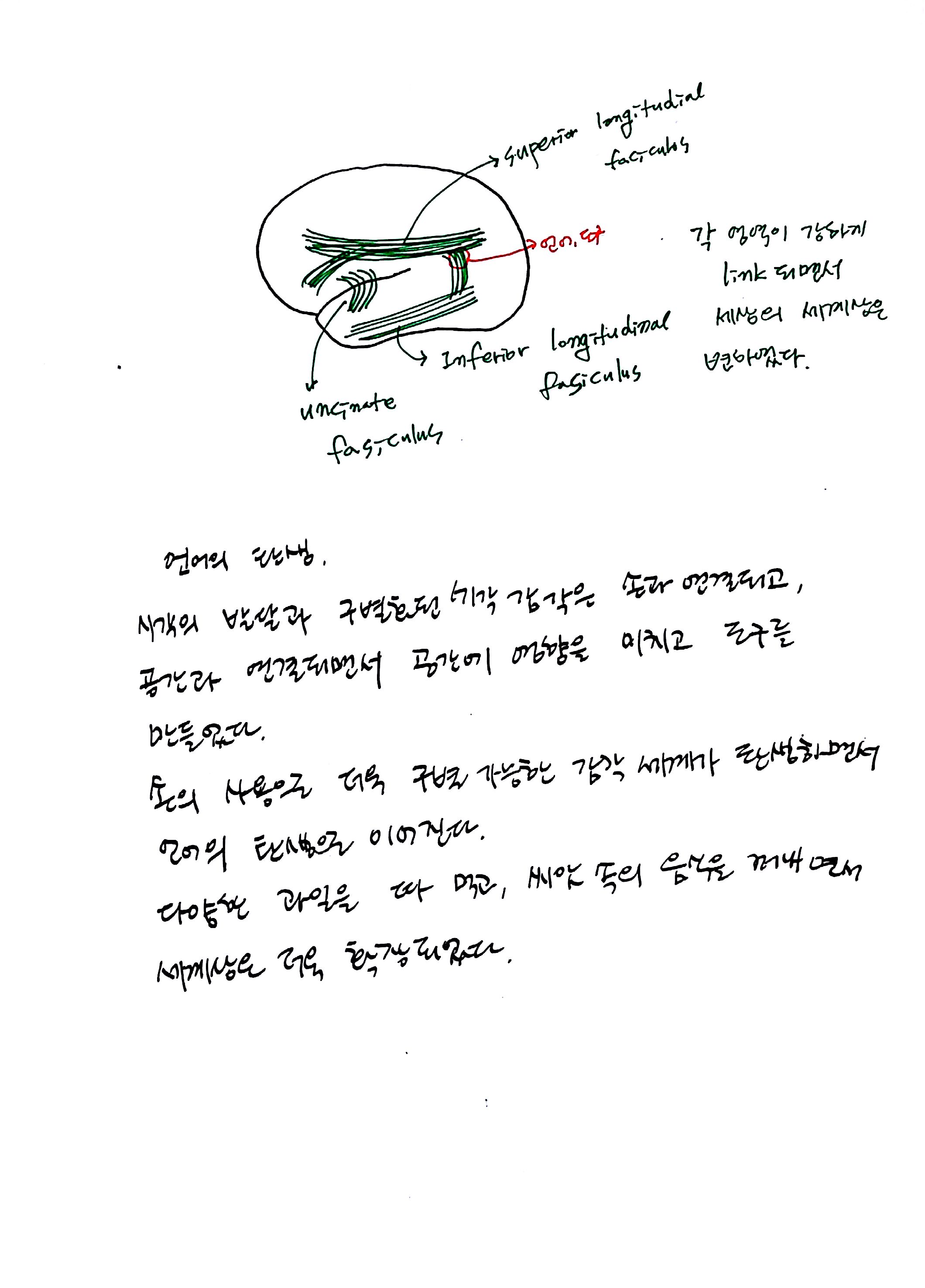 제 6회 특별한 뇌과학 2강 시각2 (13).jpg