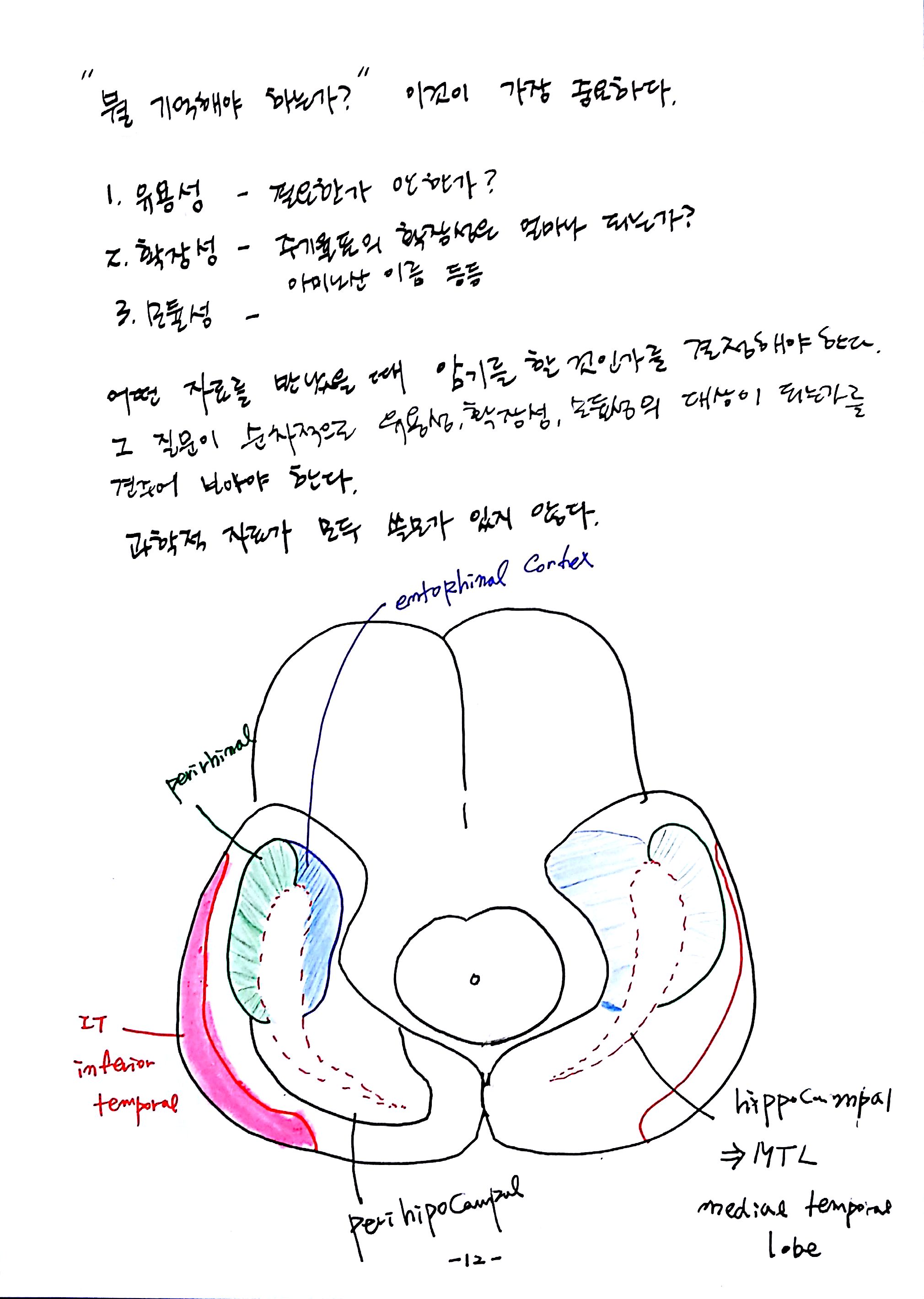 제 6회 특별한 뇌과학 2강 시각2 (12).jpg