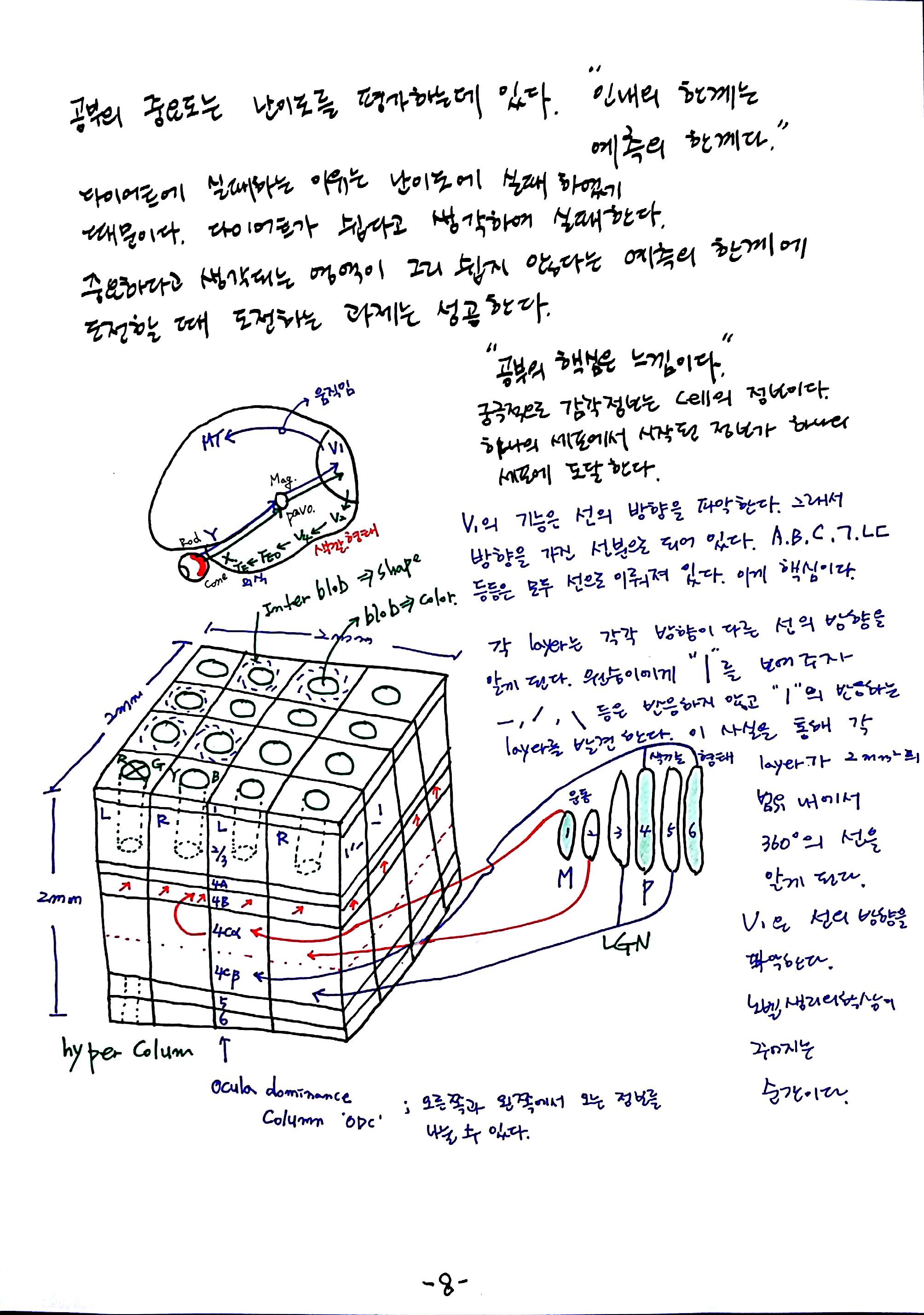 제 6회 특별한 뇌과학 2강 시각2 (8).jpg