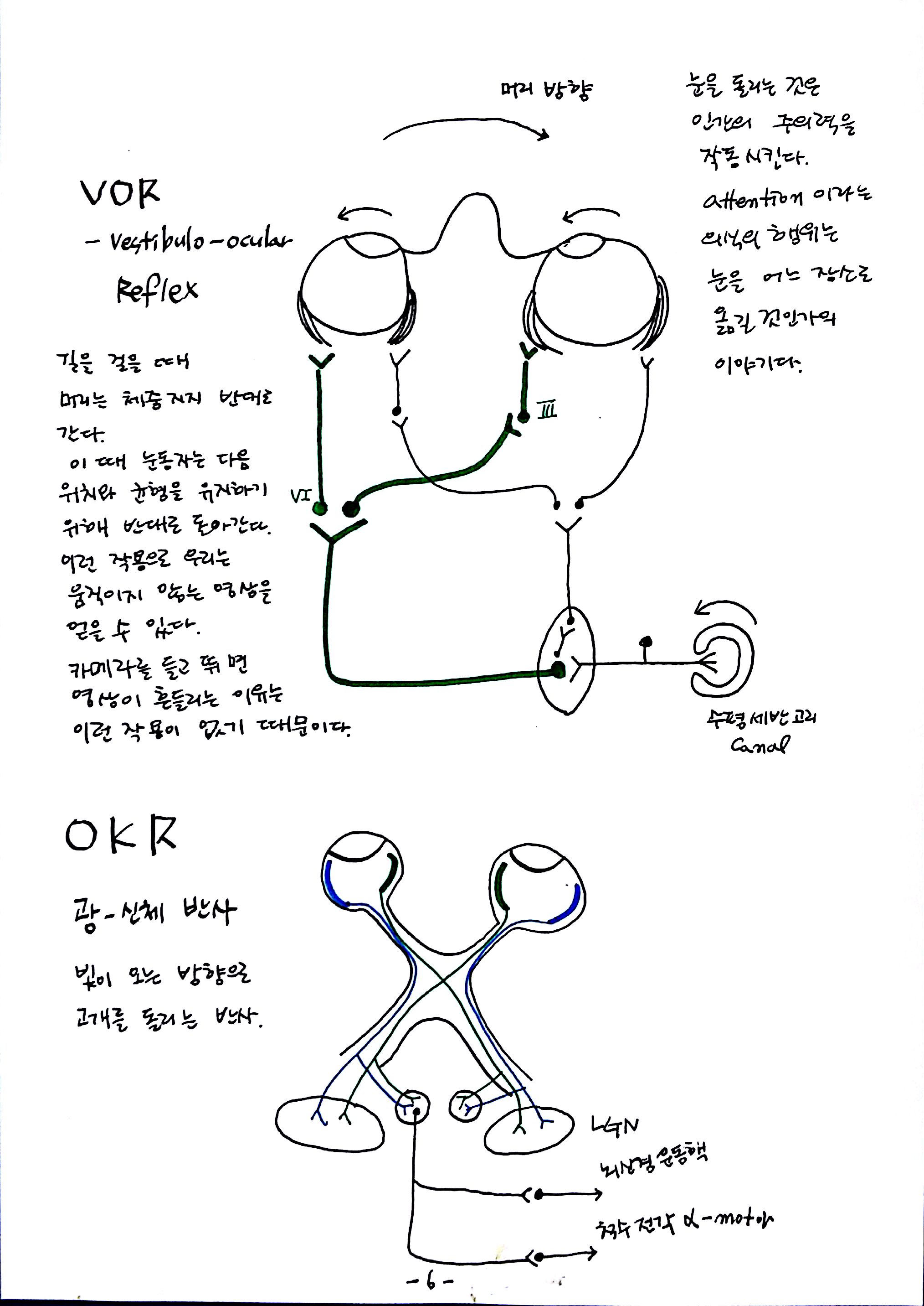 제 6회 특별한 뇌과학 2강 시각2 (6).jpg