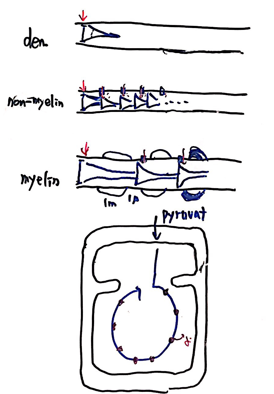 13.JPG