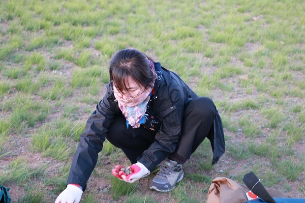 IMG_6147.JPG
