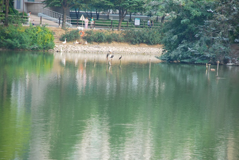 DSC_0574.JPG
