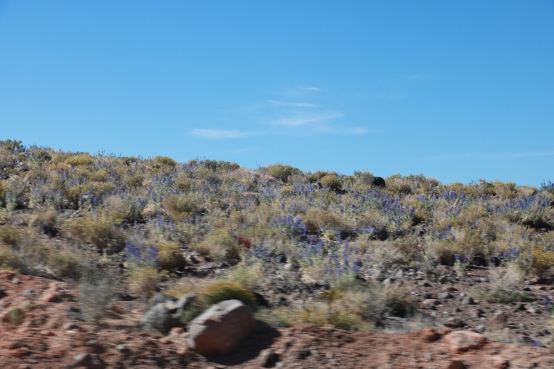 3251-20171226-205131.JPG
