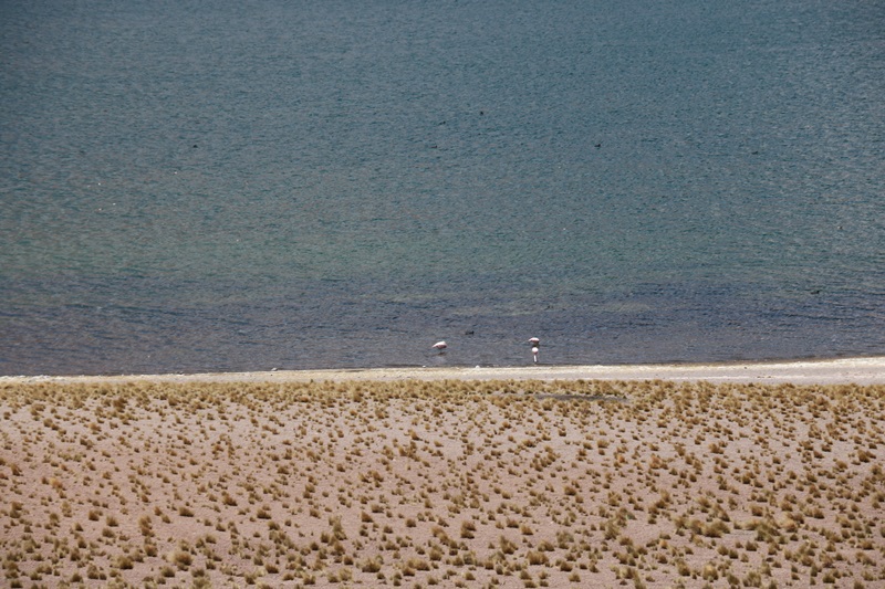 3317-20171226-205212.JPG
