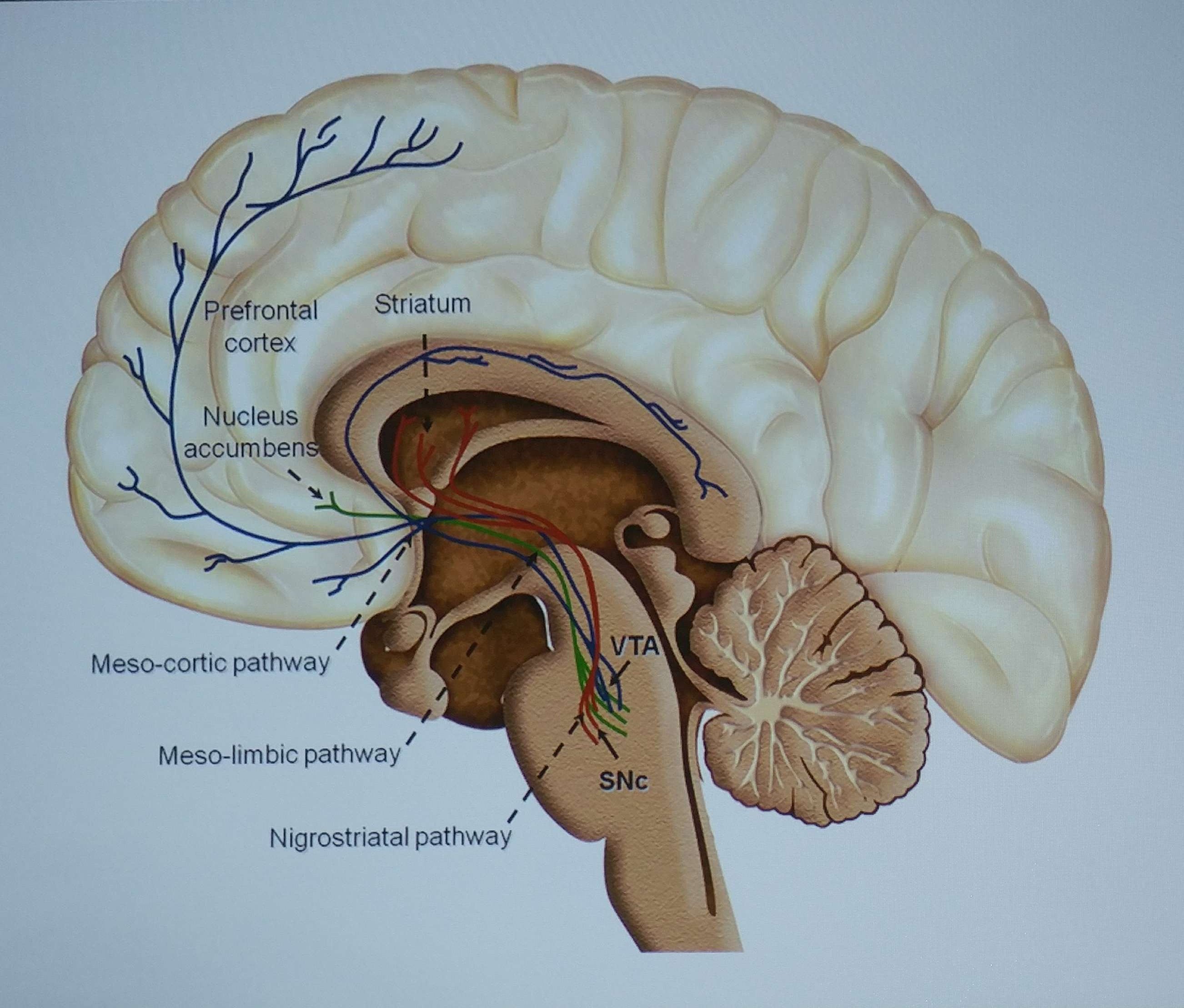16_10 ppt10.jpg