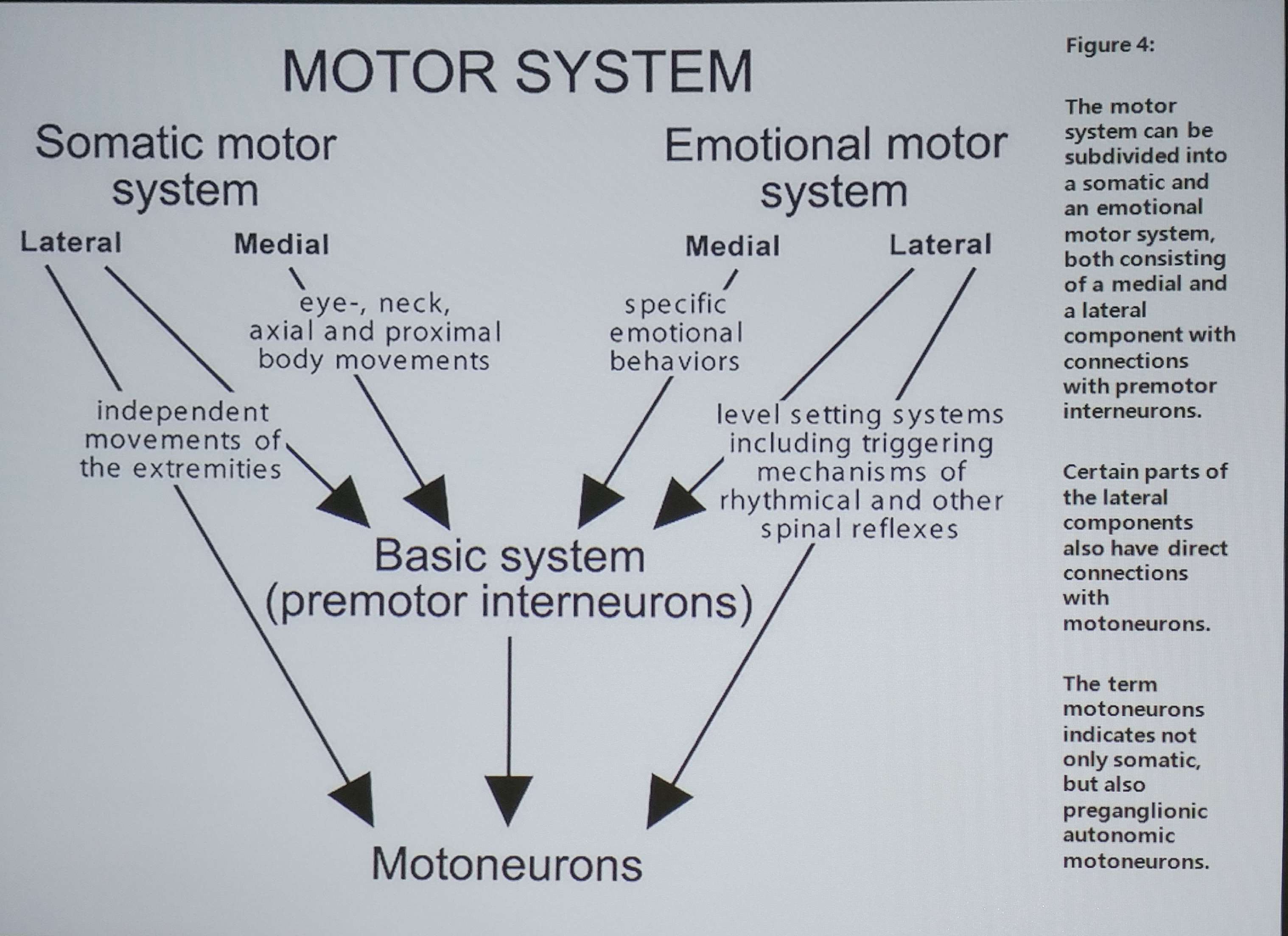 16_7 ppt2.jpg