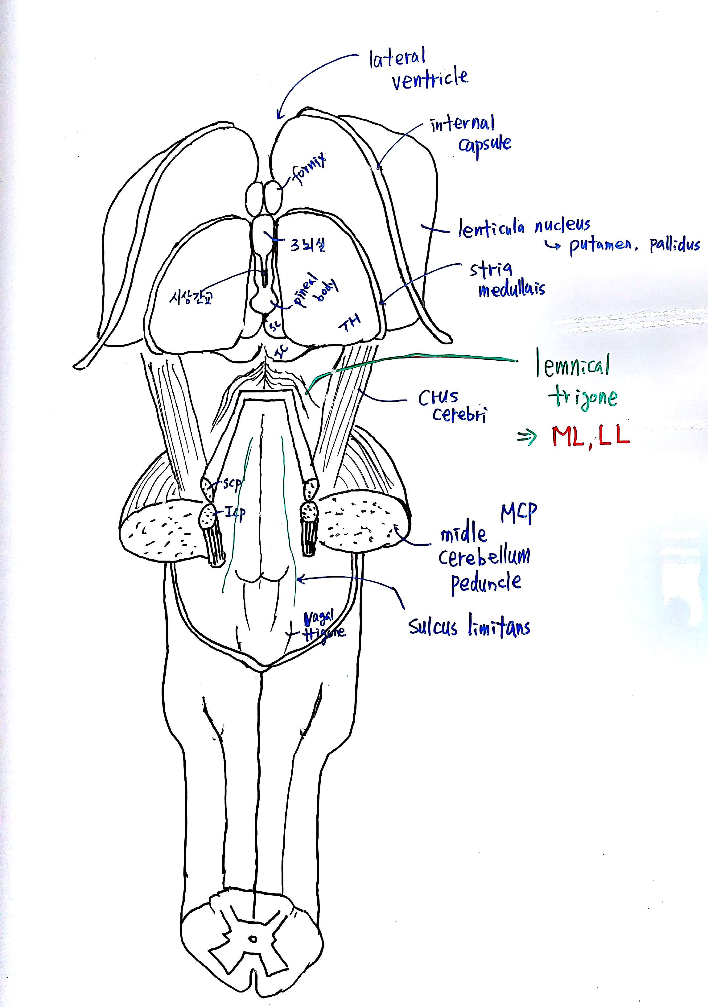 16_2 #2.jpg