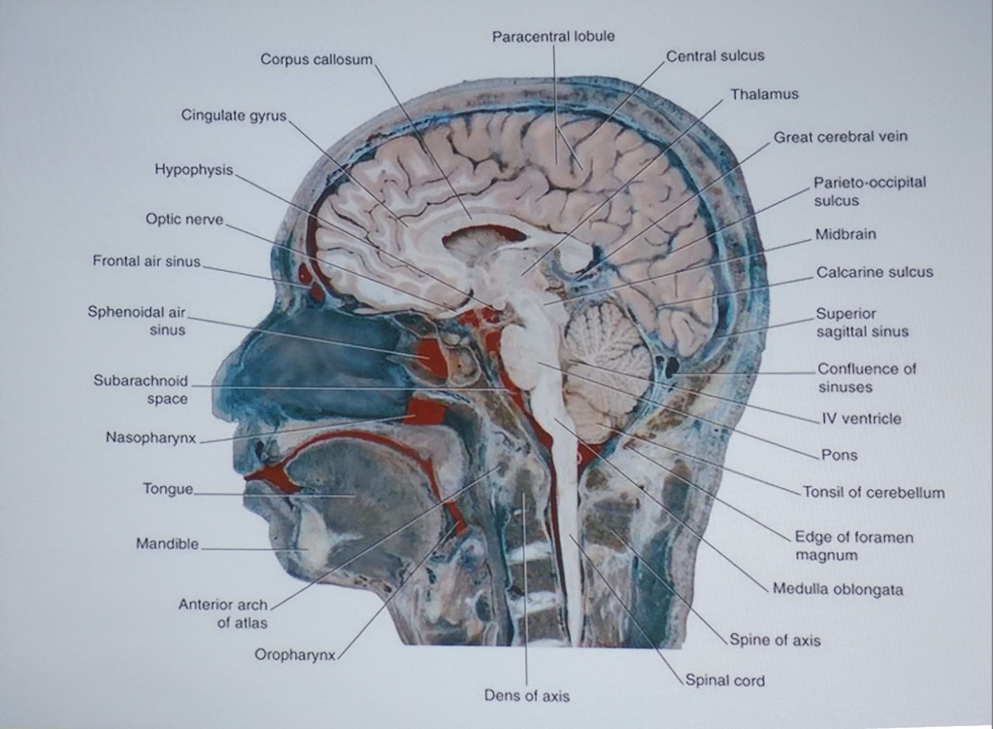 16_10 ppt9.jpg