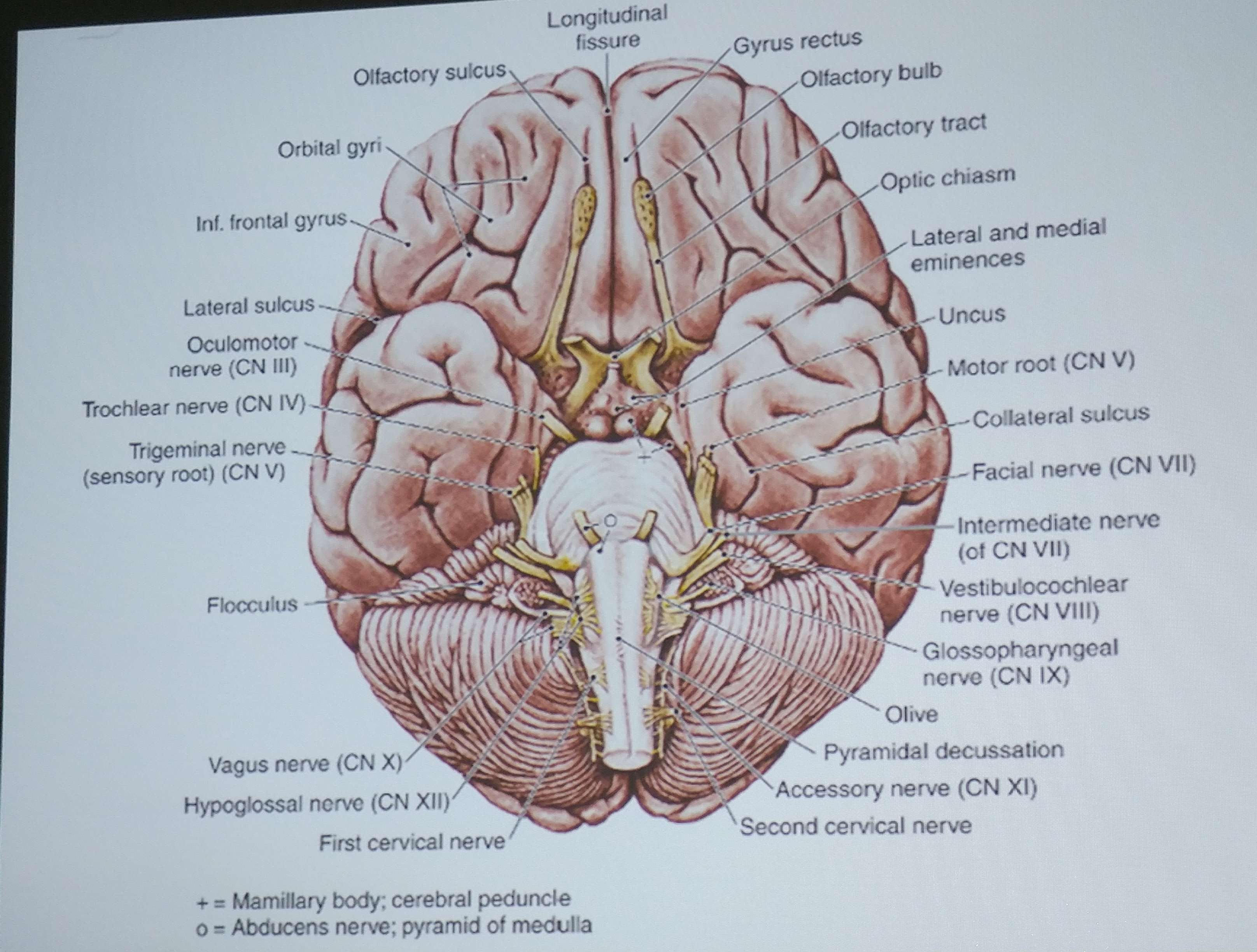 16_10 ppt5.jpg