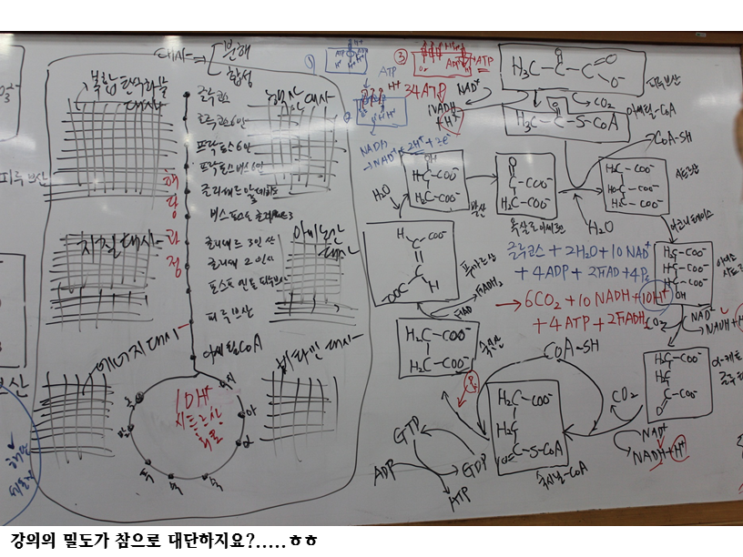 슬라이드37.PNG