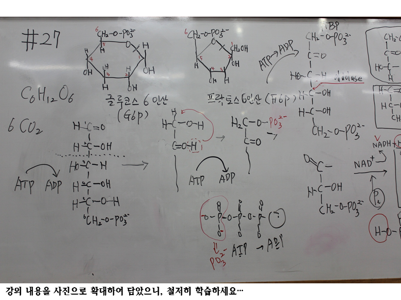 슬라이드35.PNG