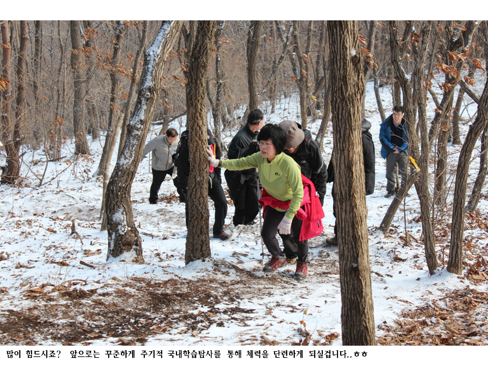슬라이드97.PNG