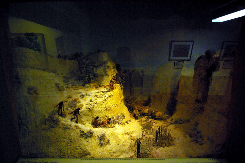 1-IMGP0991.JPG