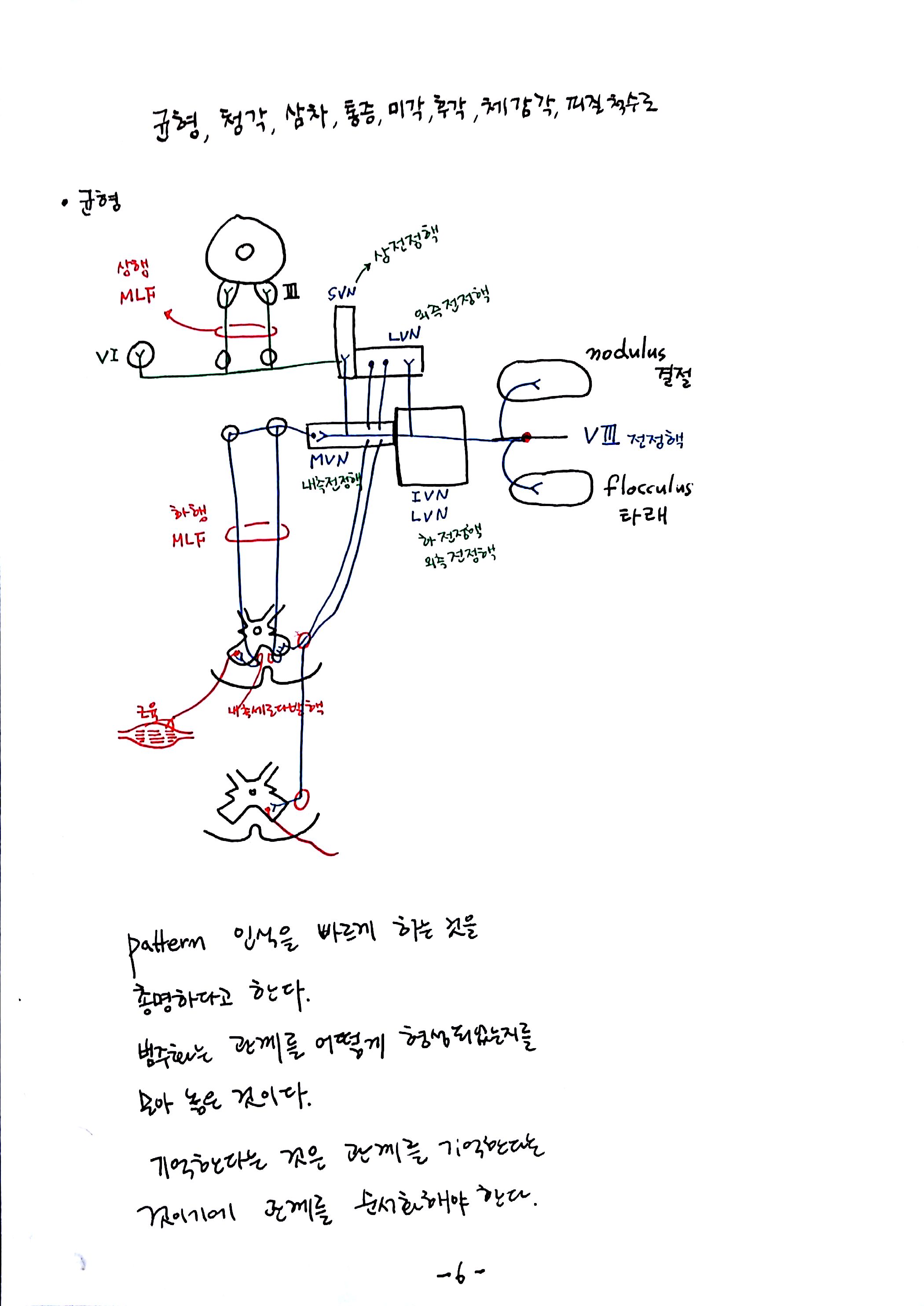 제 6회 특별한 뇌과학 6강 뇌간 (6).jpg