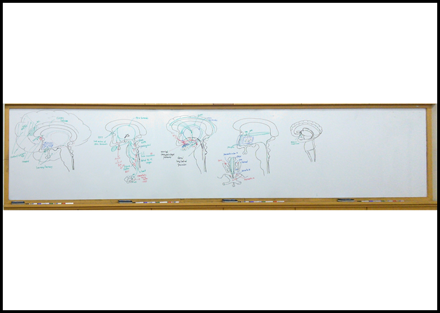 제5회 특별한 뇌과학 8강_Page_01.png