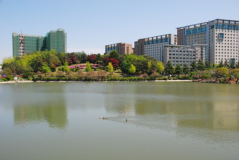 DSC_0013.JPG