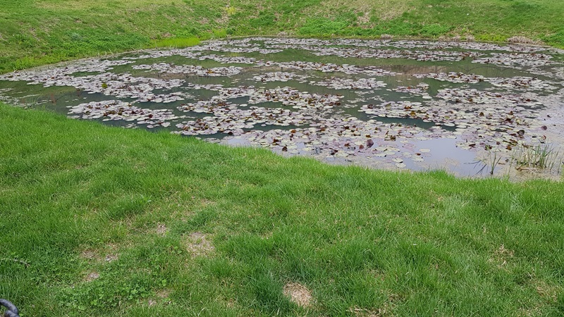 20170504_164645-20170509-204701.jpg