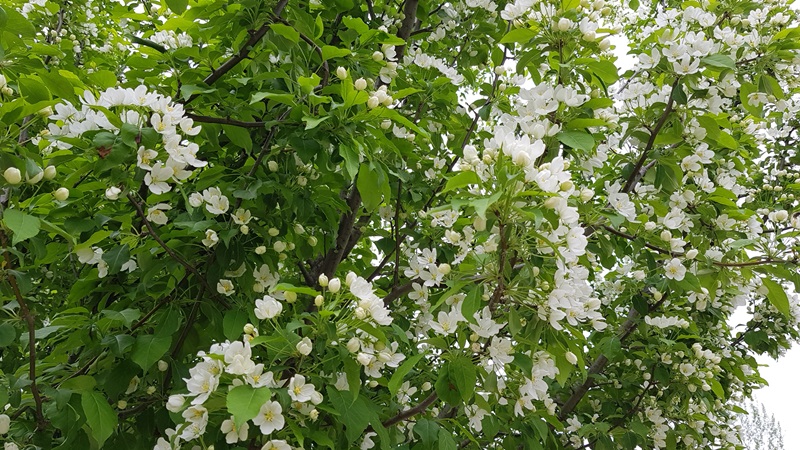 20170504_164544-20170509-204701.jpg