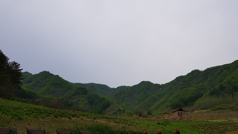 20170504_164756-20170509-204702.jpg