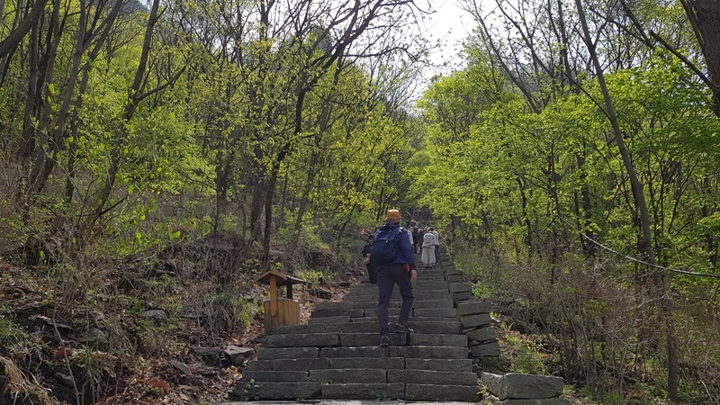 20170505_093229-20170510-112204.jpg