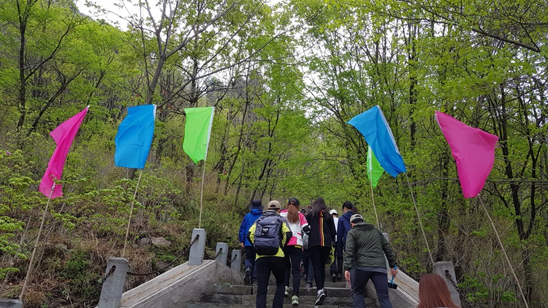 20170505_093017-20170510-112204.jpg