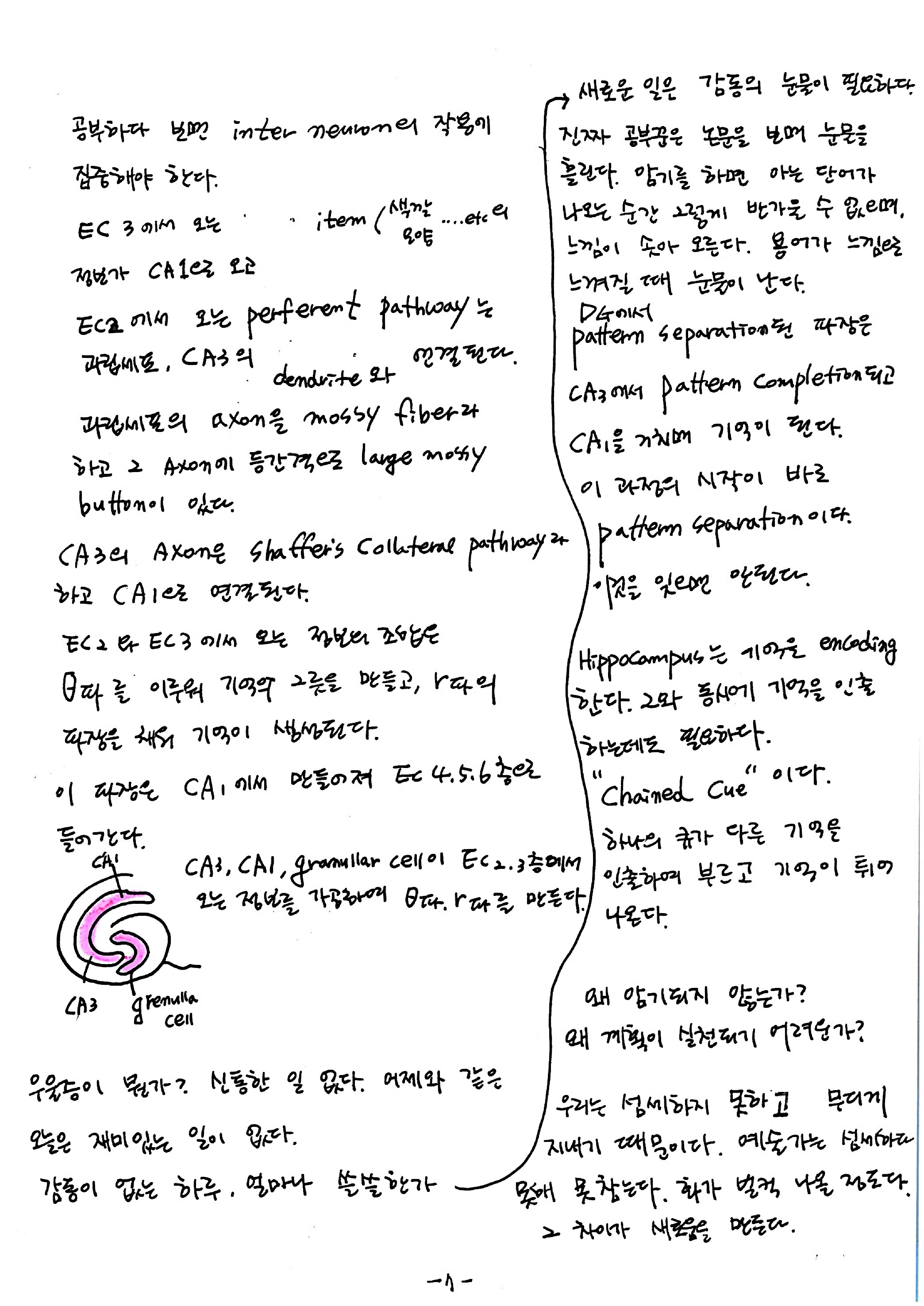 제 7회 특별한 뇌과학 5강 hippocampus2 7.jpg