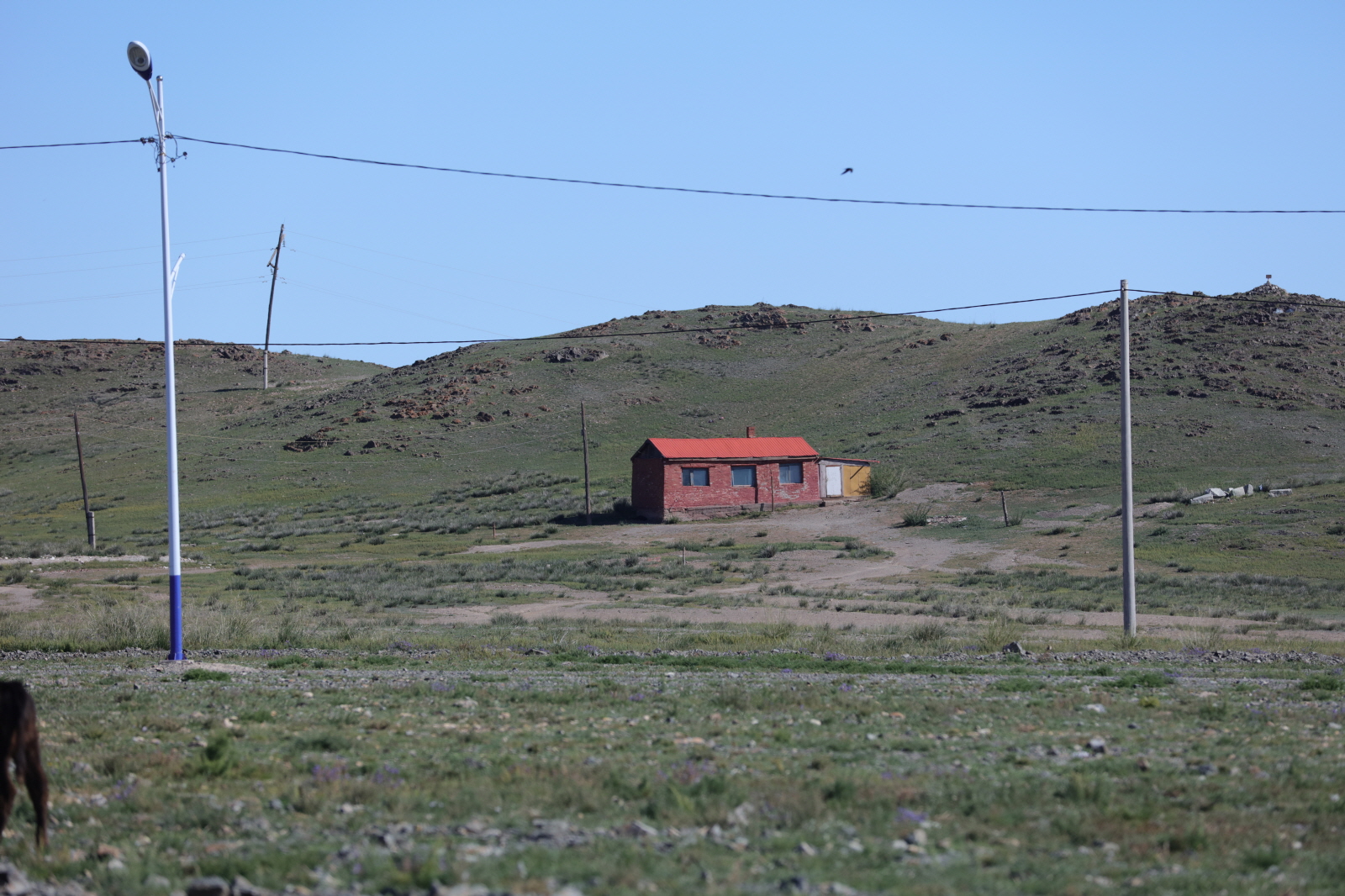 233A1606.JPG