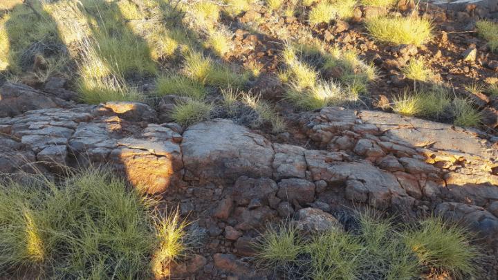 Polished glacial pavement.gif