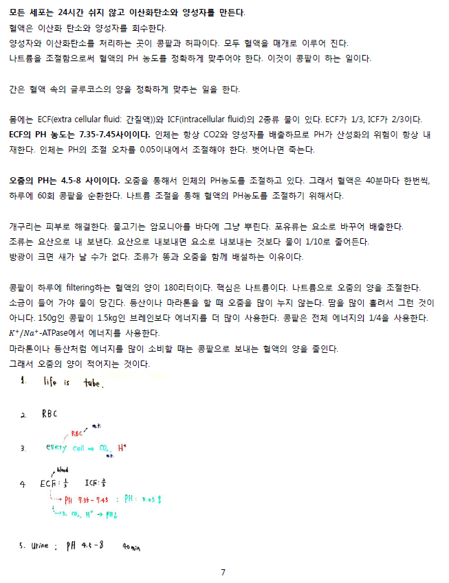 ScreenClip 07.png