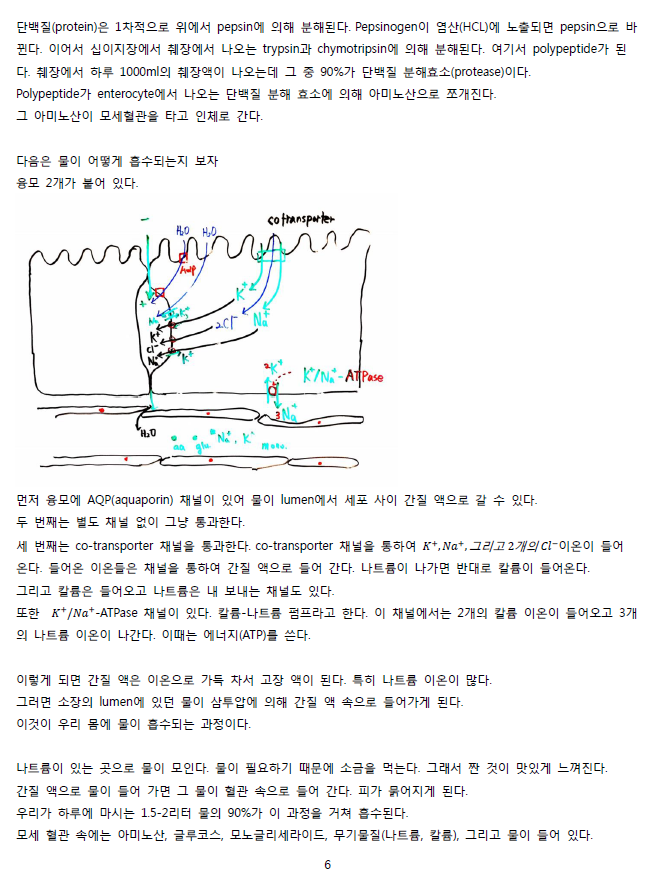 ScreenClip 06.png