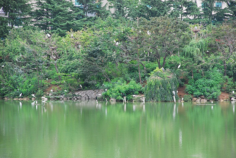 DSC_0006.JPG