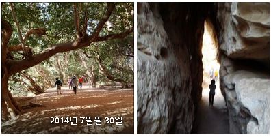 윈드자나7.JPG