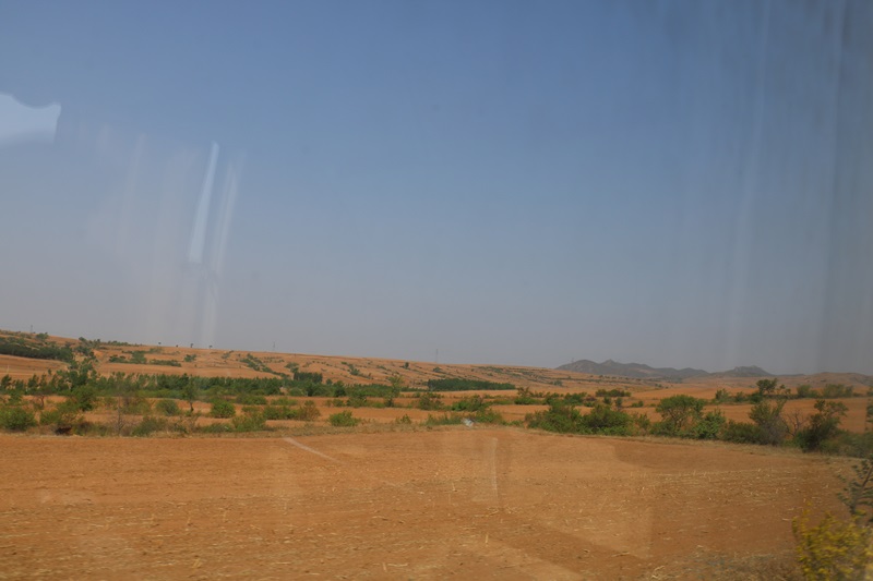 1459.JPG