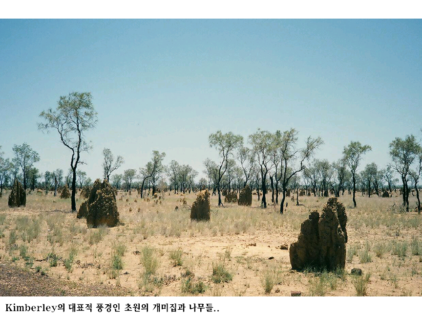 슬라이드99.PNG